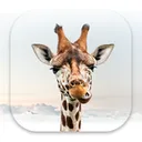Girafi logo