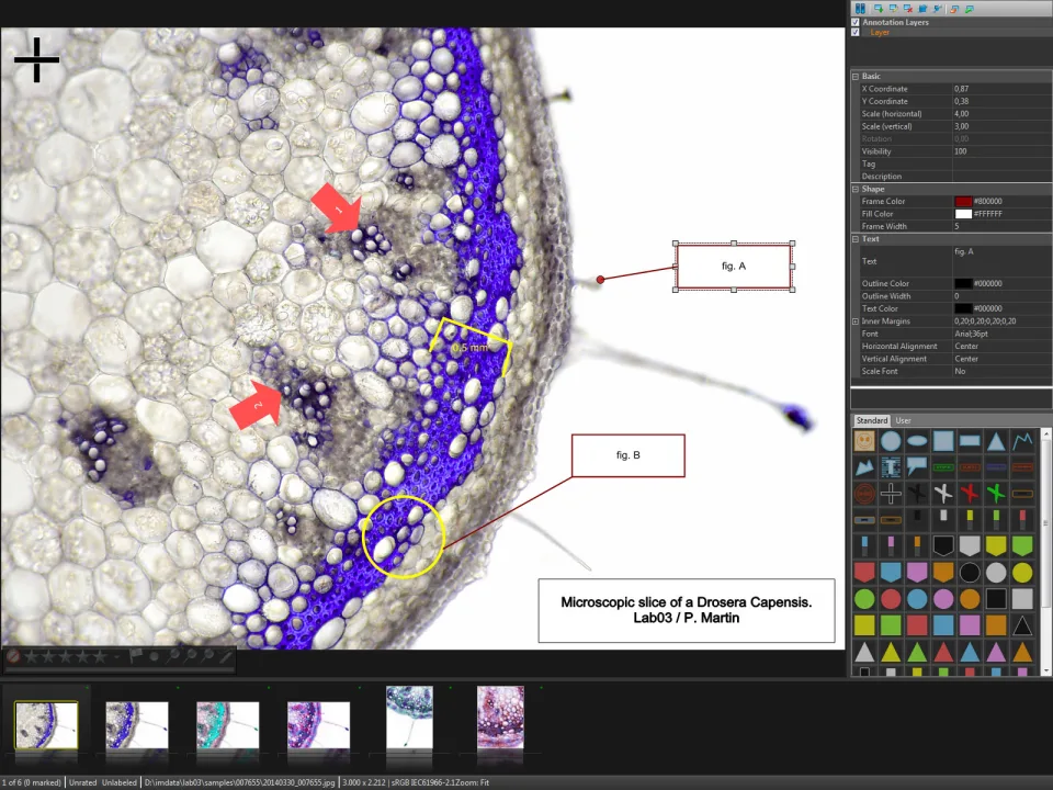 IMatch — Screenshots 5