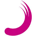 Planisware Enterprise logo
