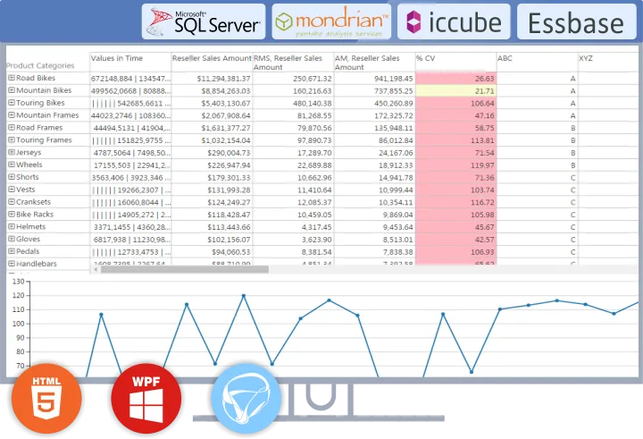 Ranet OLAP — Screenshots 1