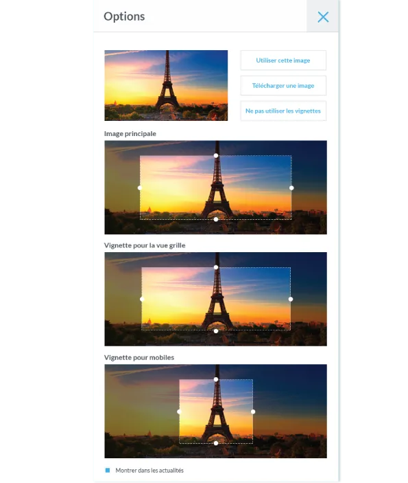 Lively Software — Screenshots 4
