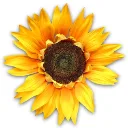 Cogilog Gestion logo