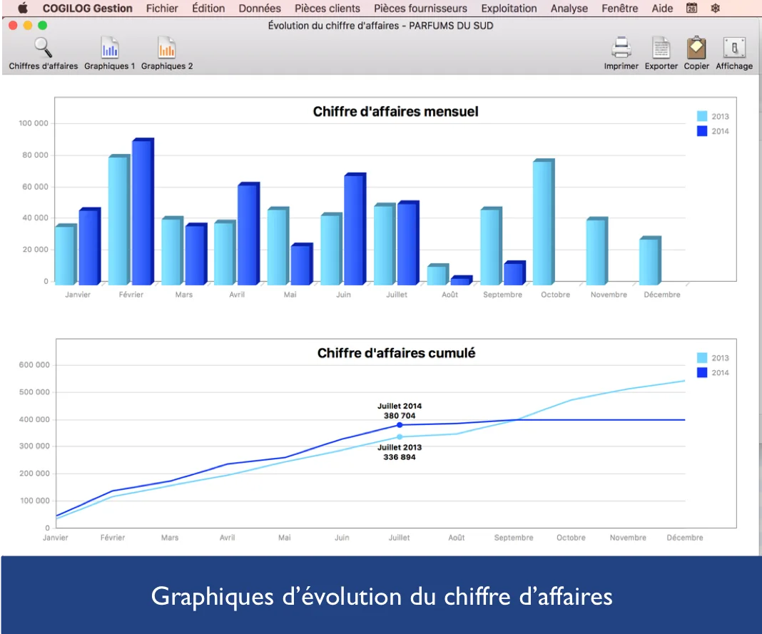 Cogilog Gestion — Screenshots 1