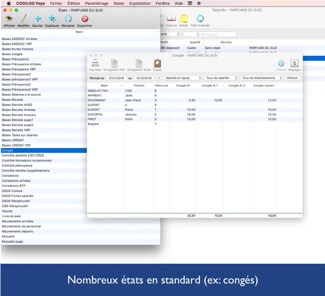 Cogilog Paye — Screenshots 2