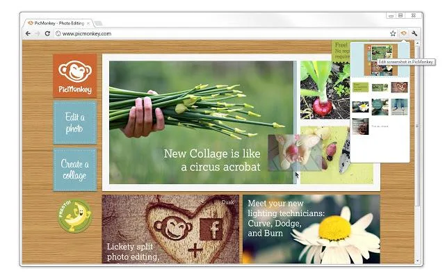 PicMonkey — Screenshots 2