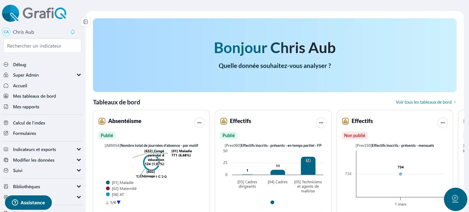 GrafiQ - BI RH — Screenshots 1