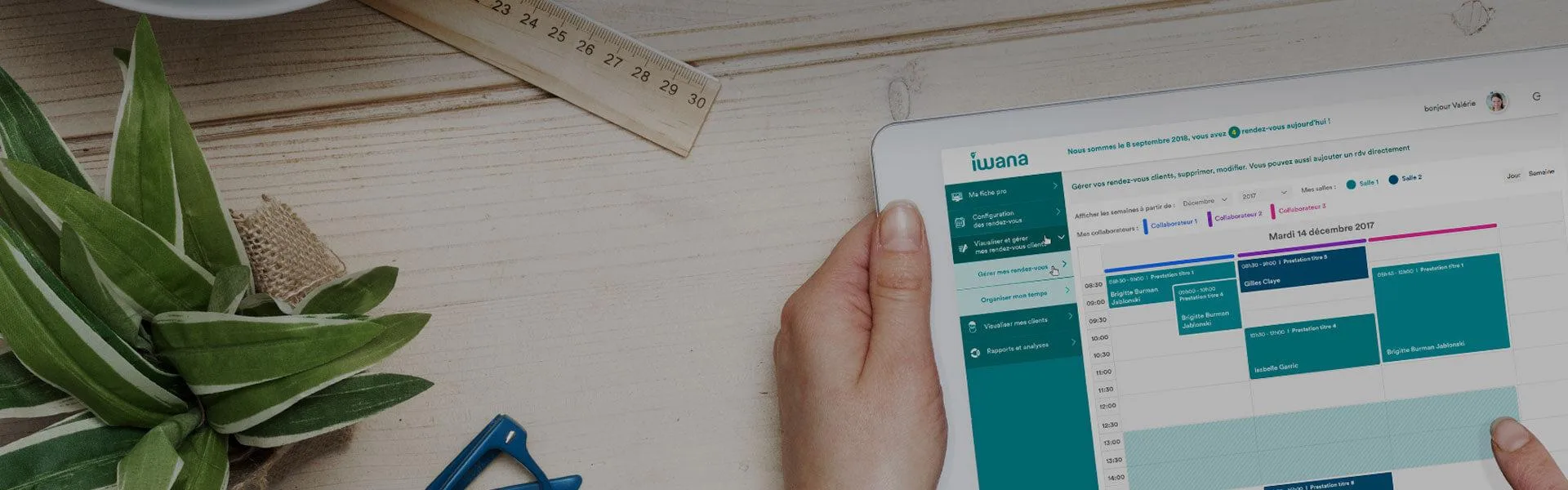 Iwana — Optimize Your Workflow with Innovative Project Management