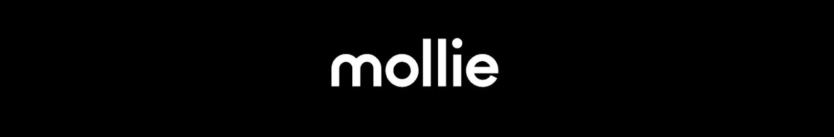 Mollie — Streamlined Payment Processing for Businesses