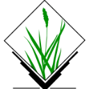 Grass logo