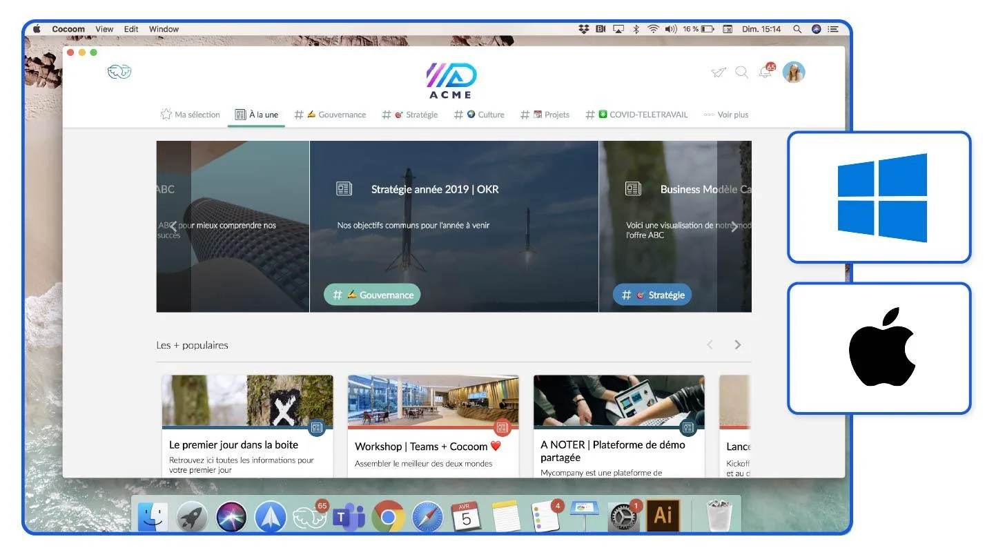 Cocoom — Screenshots 4