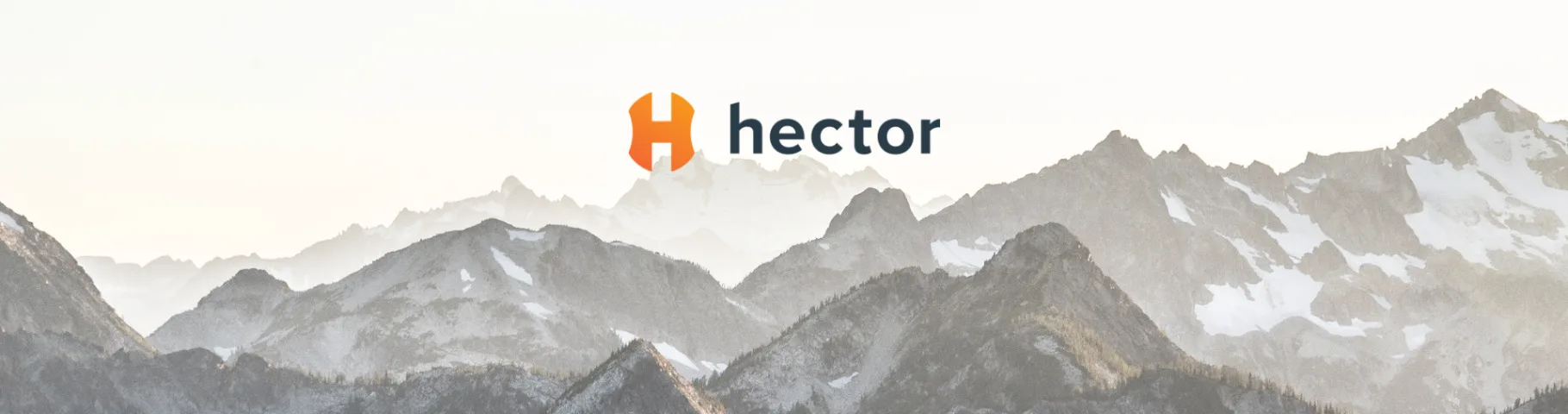 Hector — Guardian of your business assets