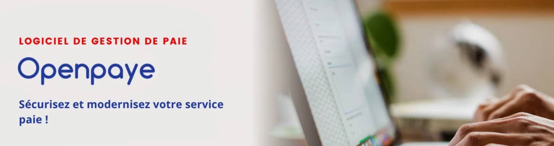Openpaye — Streamline Payroll Management for Small Businesses