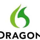 Dragon Professional logo