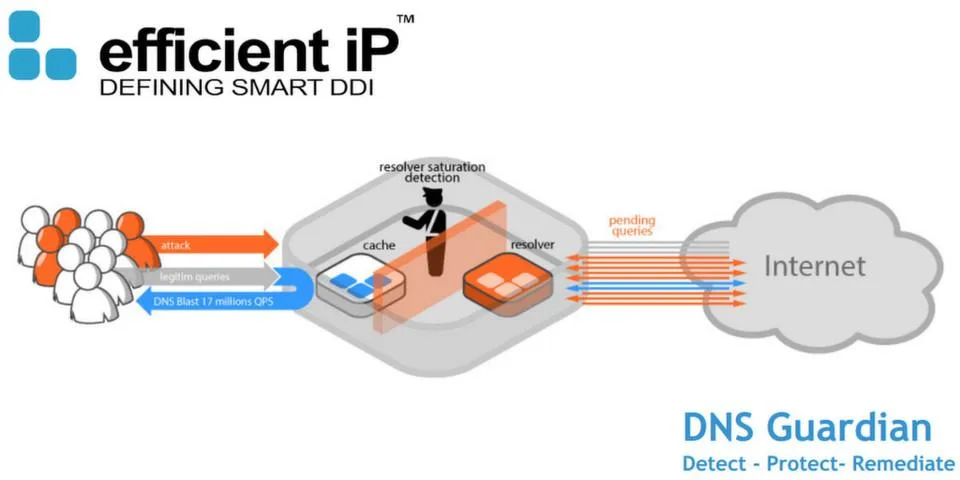 DNS Guardian — Efficient DNS Management for Seamless Operations