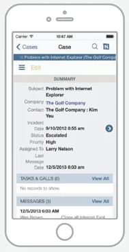 NetSuite — Capturas de pantalla 3