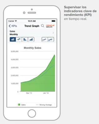 NetSuite — Capturas de pantalla 4