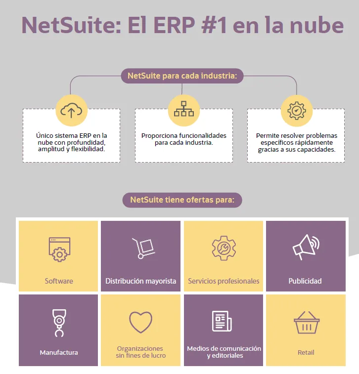NetSuite — Capturas de pantalla 6