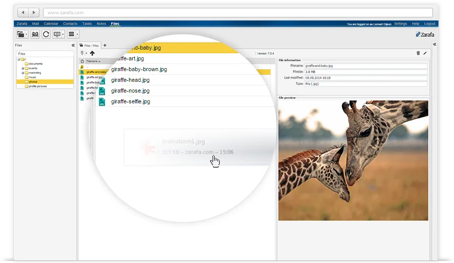 Zarafa — Screenshots 1