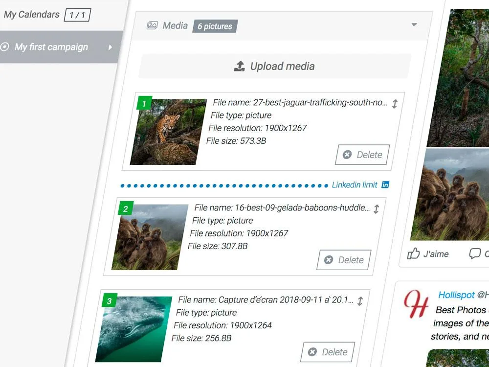 Hollispot — Screenshots 1