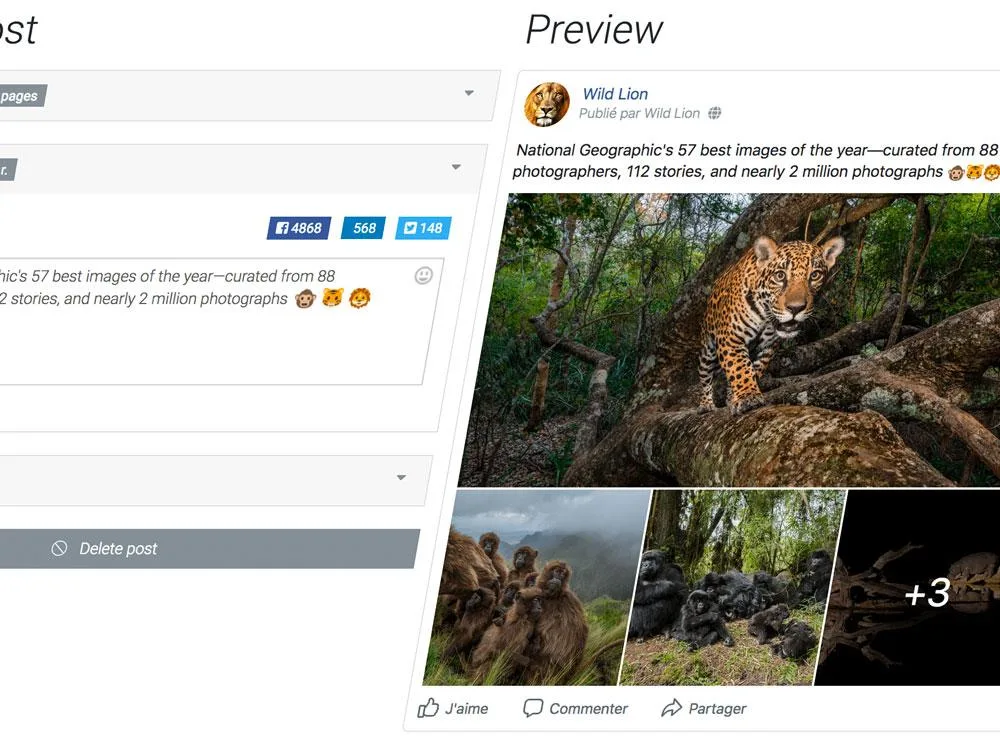 Hollispot — Screenshots 2
