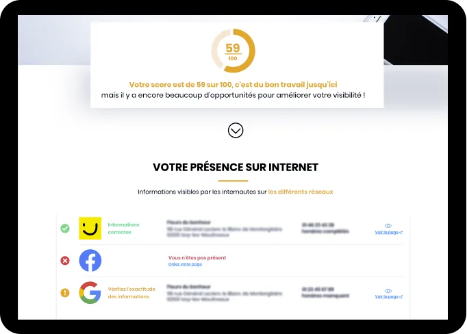 Audit Visibilité Digitale — Screenshots 1