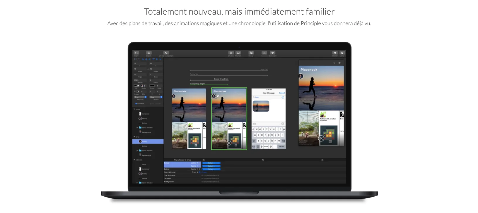 Principle — Dynamic Prototyping for Interactive Design