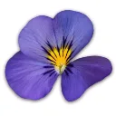 Cogilog Liasses logo