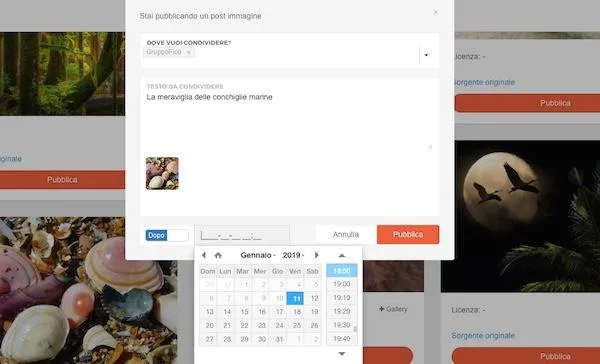 Spidwit — Boost Content Creation with Advanced Automation