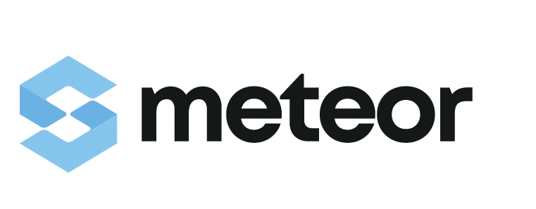 METEOR — Efficient Project Management and Collaboration Tool