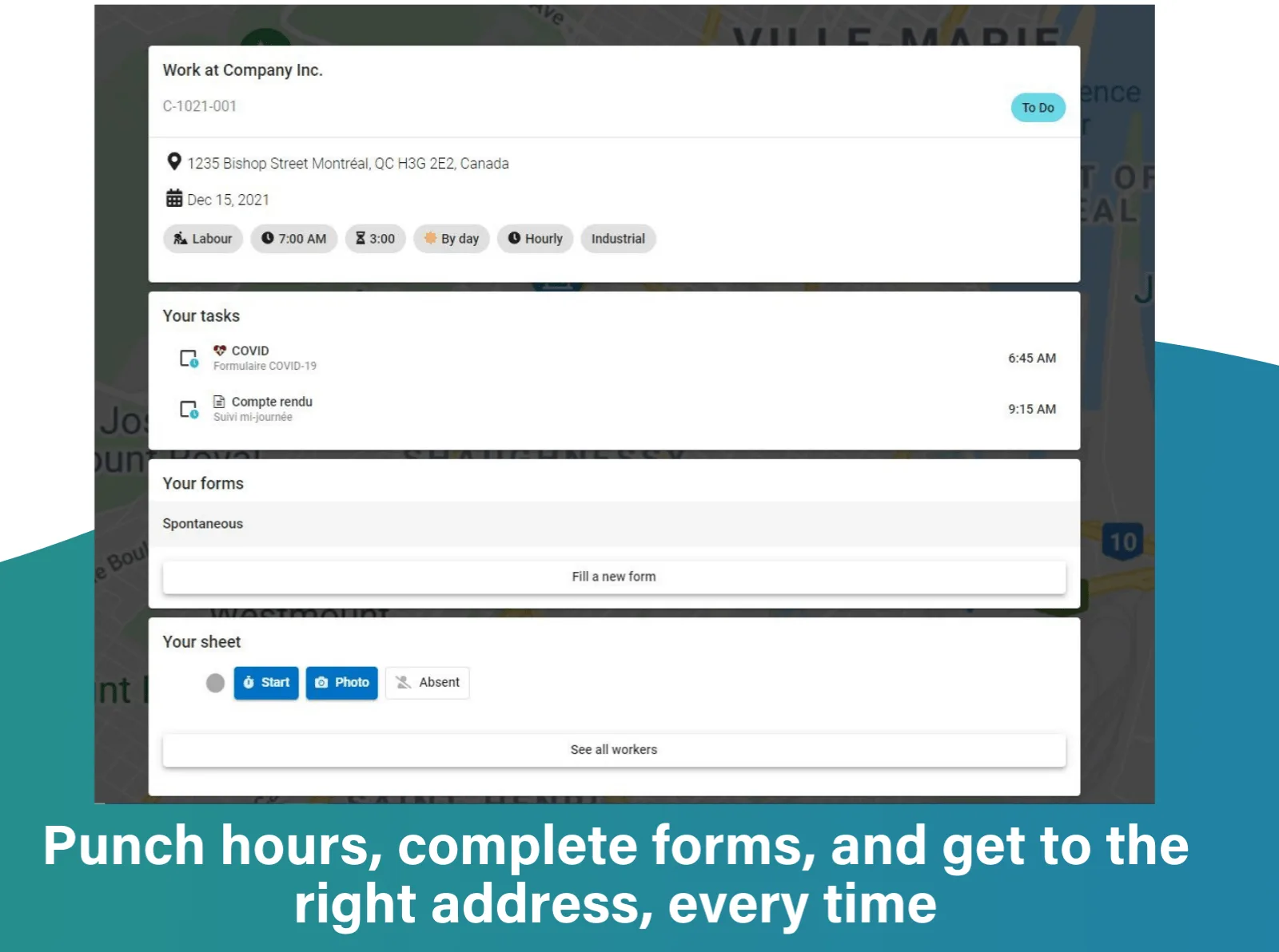 Cactusoft Construction — Screenshots 4