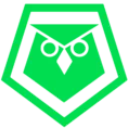 b2wise logo