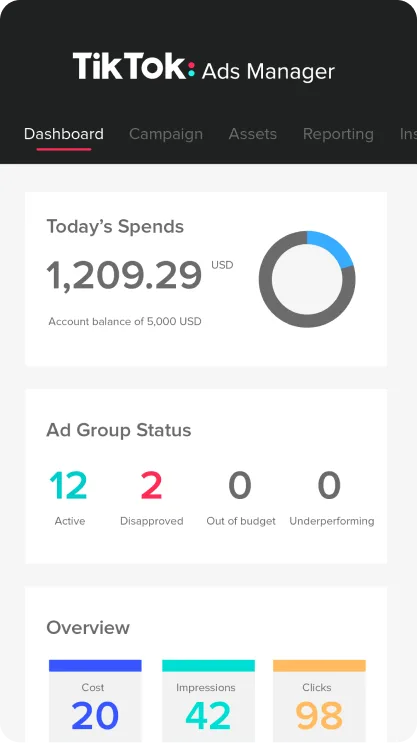 TikTok for Business — Screenshots 2
