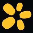 Zerve AI logo
