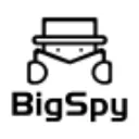 BigSpy logo