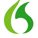 Nuance Dragon logo