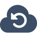 Swiss Backup logo