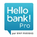 Hello bank! Pro logo