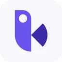 Birdview logo