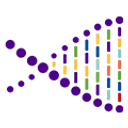 MYPACKBRAIN logo