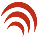 BigPulse logo