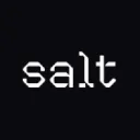 Salt AI logo