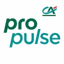 Business Plan Propulse by CA logo