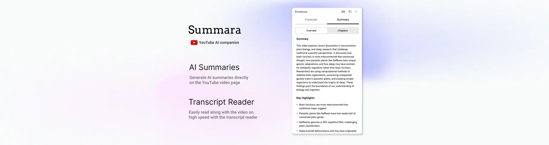 Summara — YouTube AI Summary and Transcript widget