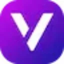 Vexub logo