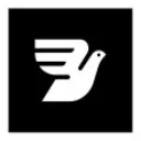 Bird (ex-MessageBird) logo
