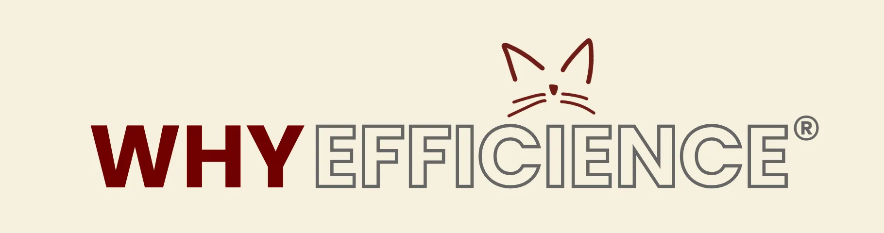 WHY Efficience — Captures d'écran 1