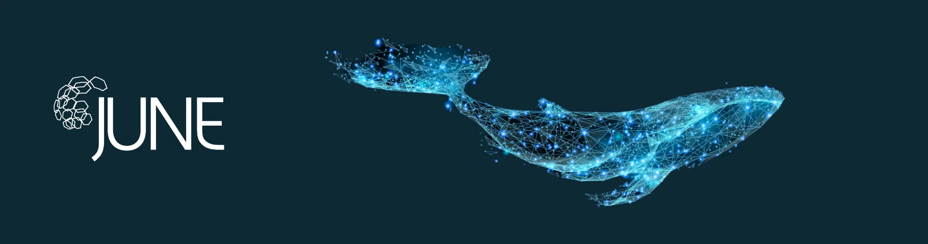 JUNE — Legal Case Management & AI Workflow Automation