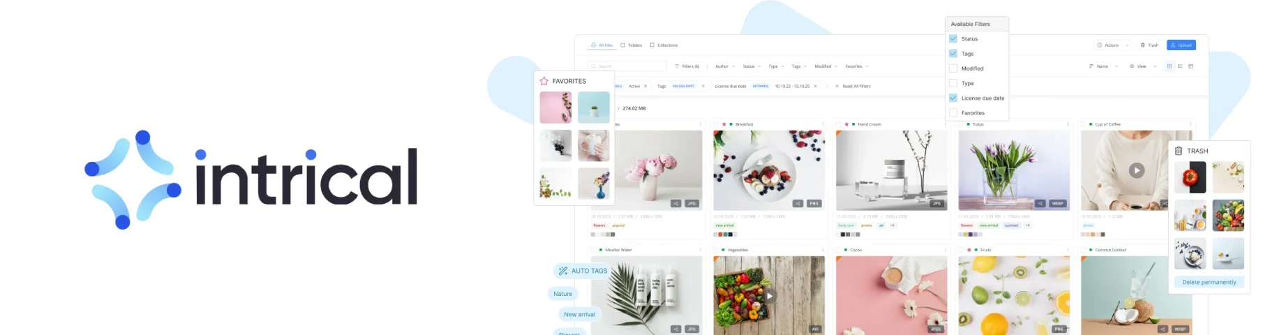 Intrical DAM and AMS — AI-powered Digital Asset Management
