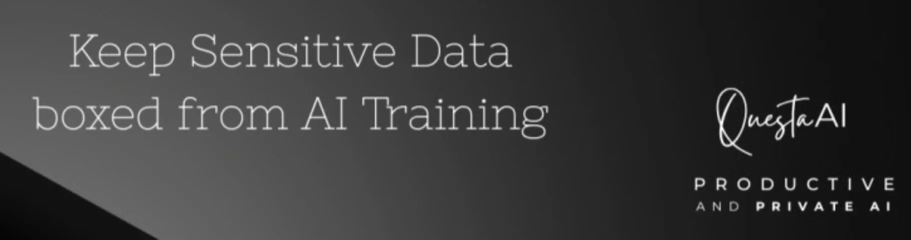 Questa AI — AI Analytics for Executives without Financial Data Leakage