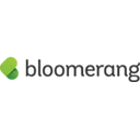 Bloomerang logo